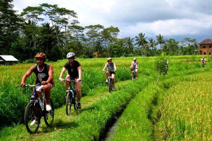 Nobody Inn Bali At Arya Guest House Ubud  Bagian luar foto